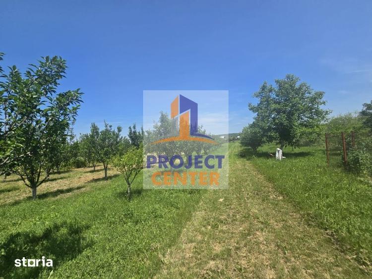 Casă cu 4 camere cu Teren 4460 Mp în Poiana Lacului