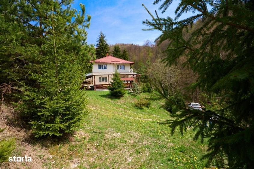 Casă cu 4 camere cu Teren 6412 Mp în Dâmbovicioara