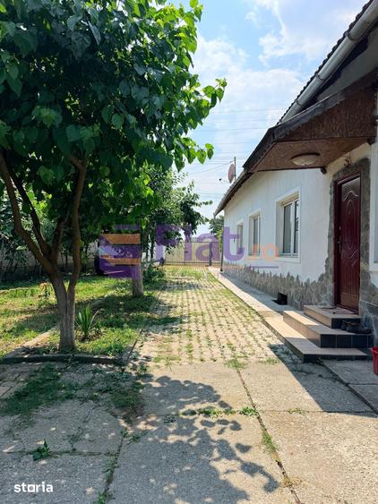 Casa cu teren de 1.651 mp ?i ie?ire la lac Feldioara Pod mansardabil - 11