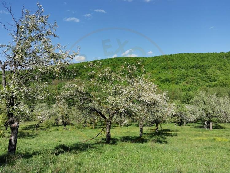 Teren agricol extravilan de 680 mp, în Budeasa Mică