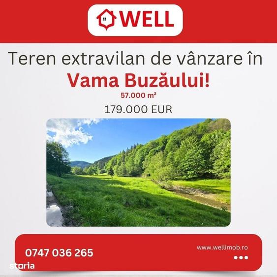 Spațiu comercial, în Vama Buzăului