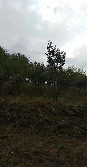Teren de 4600 mp, în Central