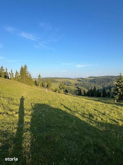 50 hectare teren | Moldova-Sulita | Potential turistic si agricol - 18