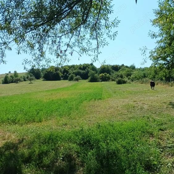 Teren de 3600 mp, în Gura Văii