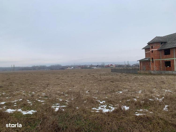 Cedare concesiune teren 2.000 mp | Todire?ti (Parhau?i) - 5