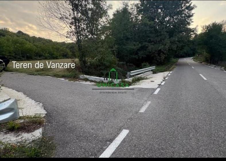 Teren Construcții intravilan de 5675 mp, în Milcoiu