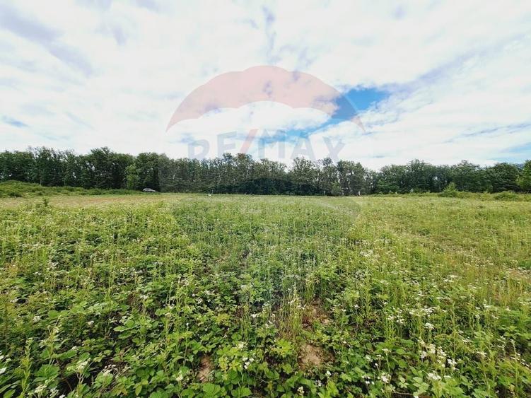 Teren agricol extravilan de 5755 mp, în Hidișelu de Sus