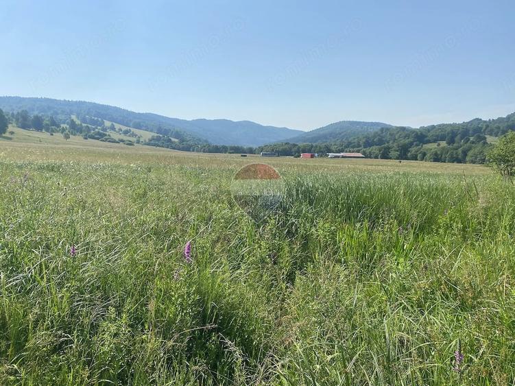 Teren de 4306 mp, în Vama Buzăului