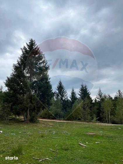 Teren extravilan parcelabil Cala?ele Padure, zona Dealu Negru - 9