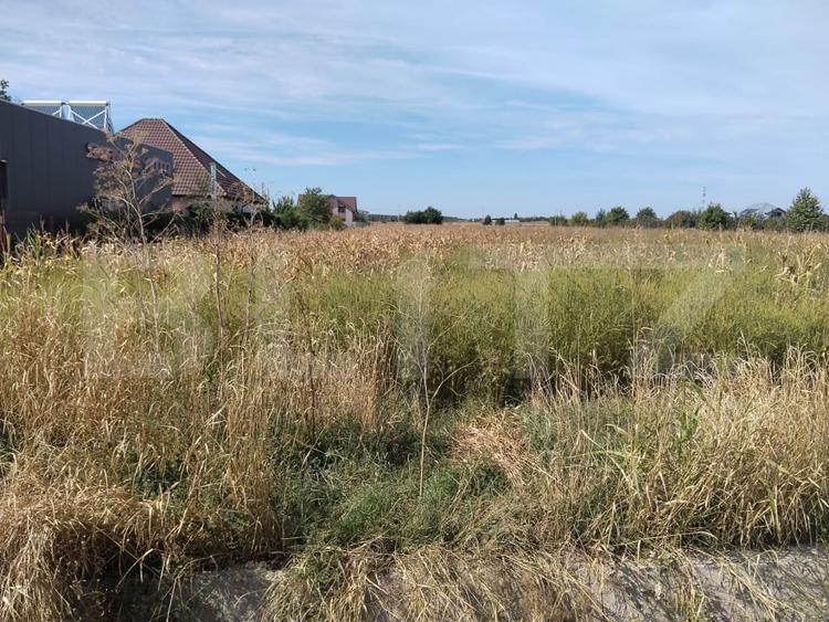 Teren Construcții intravilan de 5400 mp, în Matraca