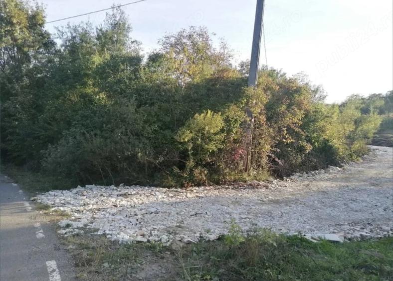 Teren de 1000 mp, în Firminiș