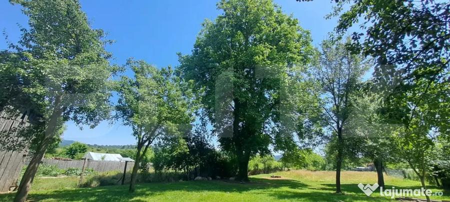Casă cu 2 camere cu Teren 3000 Mp în Veneția de Sus
