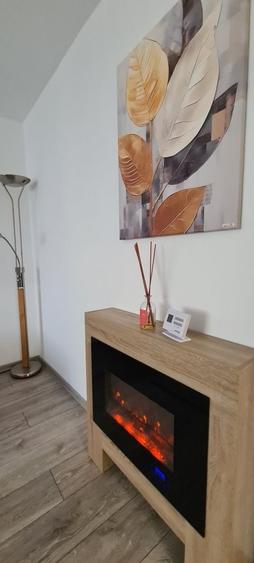 Apartament cochet de inchiriat - 3