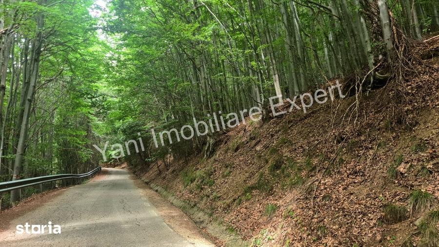 Teren de vanzare pe Transfagara?an, zona Molivi?u ( 69.450 mp ) - 8