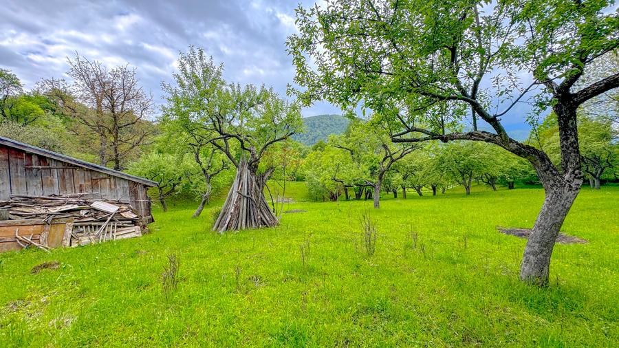 Teren agricol intravilan de 1500 mp, în Bran