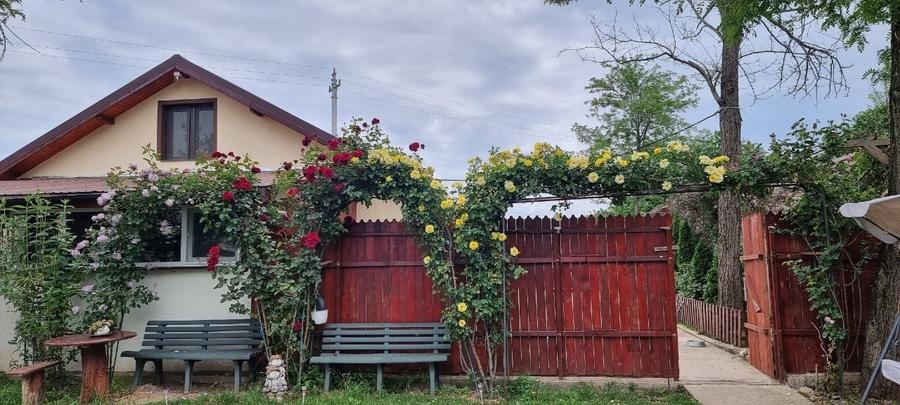 Casă individuală cu 4 camere cu Canalizare în Sărățeni