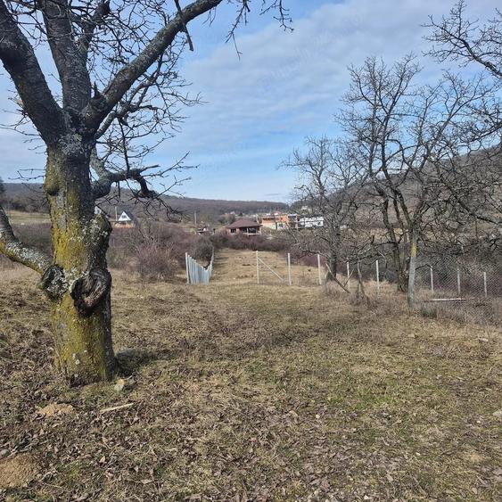 Teren de vanzare Valea Rusului - 2