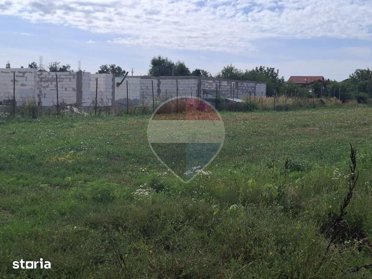 Teren de 28800 mp, în Drăgănescu