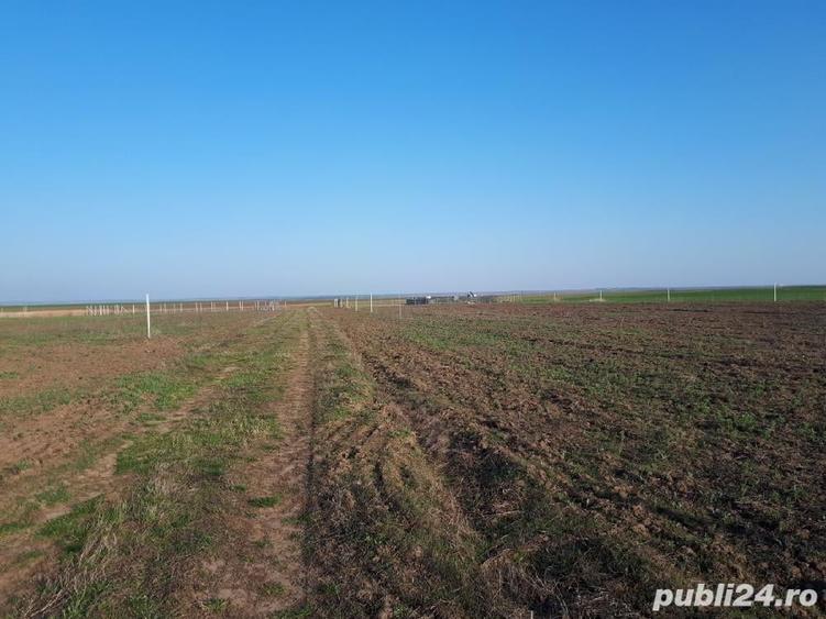 Teren de 805 mp, în Cornești