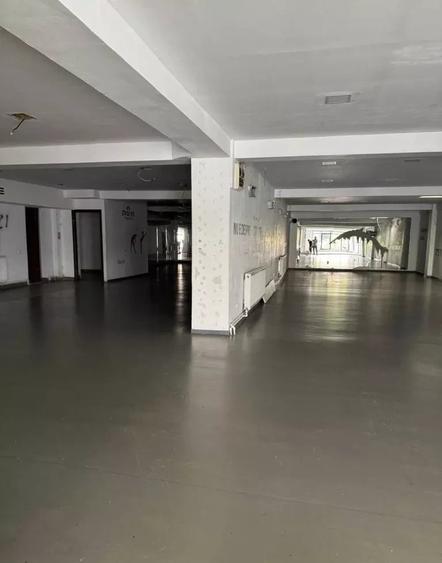 Spațiu comercial, de 450 mp, în Plopilor