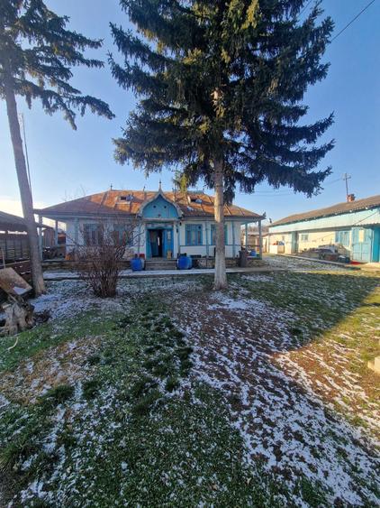 Casă cu 3 camere în Coșula