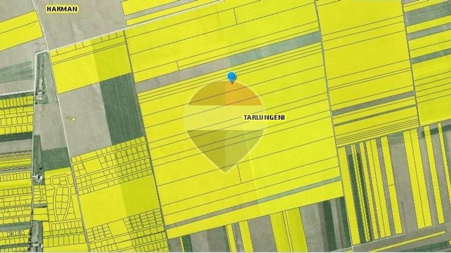 Teren agricol intravilan de 52410 mp, în Tărlungeni