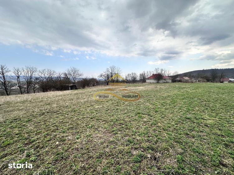 Teren de 11021 mp, în Blăgești