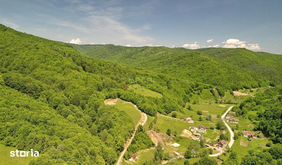 Teren de 16000 mp, în Holbav