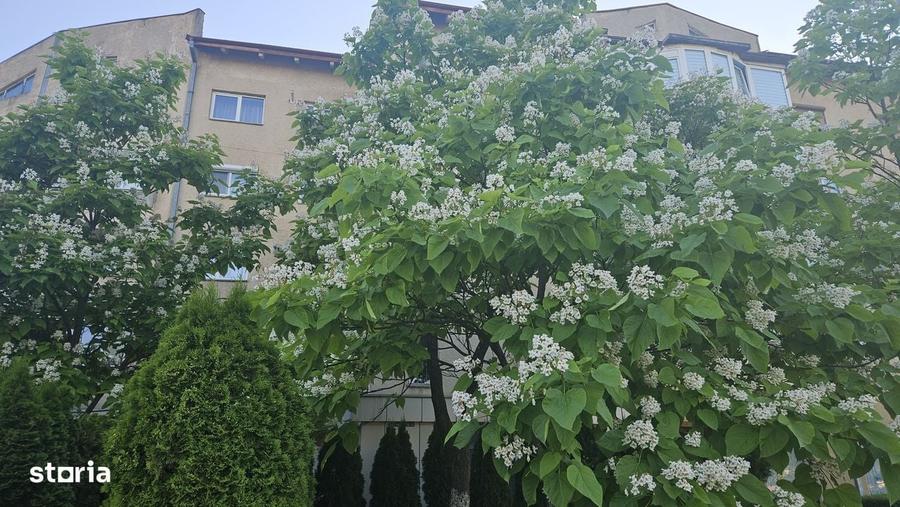 Apartament cu 4 camere decomandat în Noua