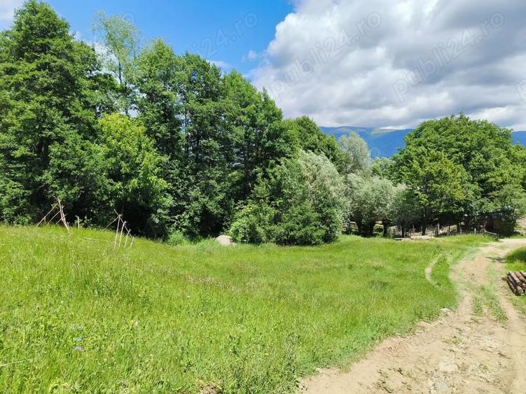 Teren de 3800 mp, în Slatina