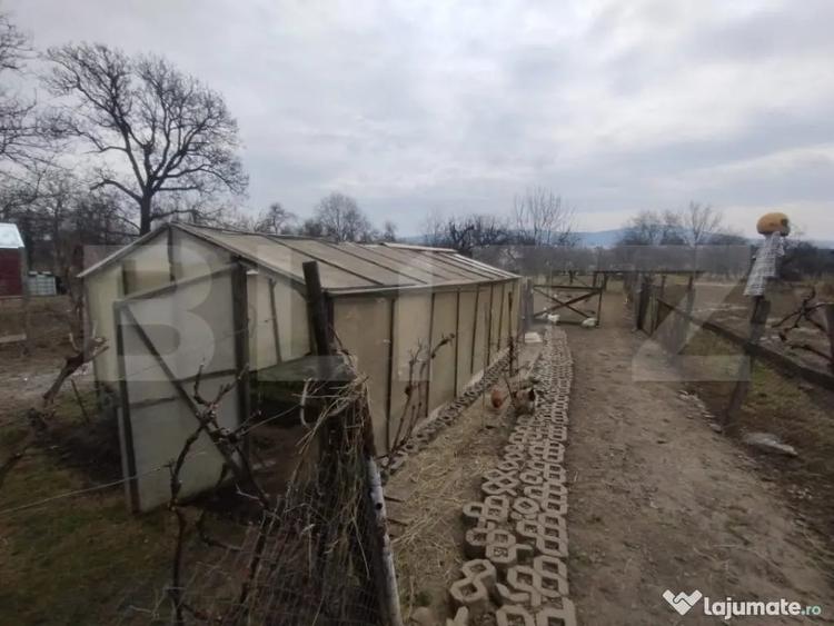 Casă cu 4 camere cu Teren 3000 Mp în Livezile