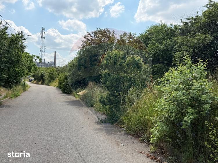 Teren de 50580 mp, în Giulești