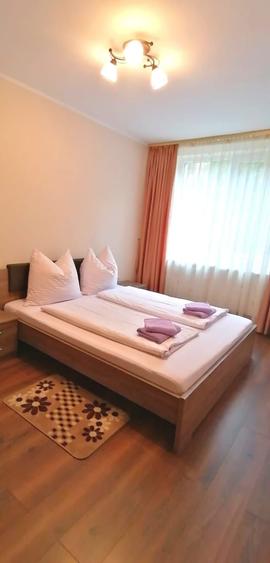 Apartament cu 2 camere decomandat în Băile Felix