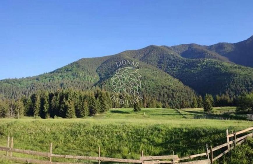 Teren Construcții extravilan de 11800 mp, în Piatra Fântânele