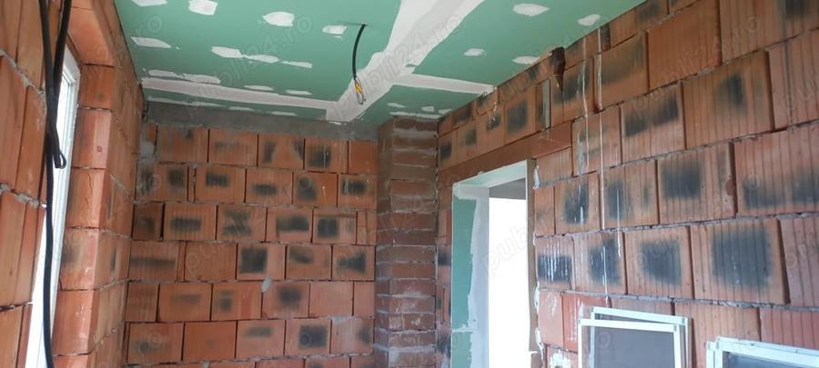 Casă cu 5 camere în Viile Satu Mare