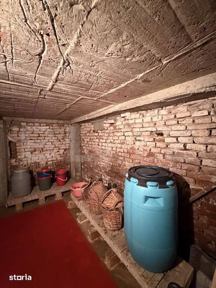 Casa pe parter, 115 mpc, 4505 mp teren, zona Bogea-Almaj - 8