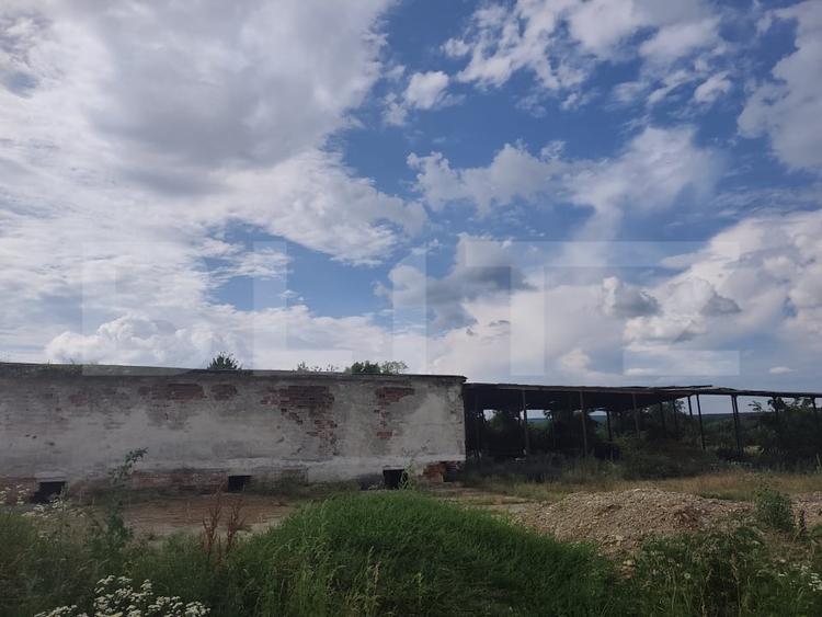 Teren Construcții intravilan de 8000 mp, în Dragomirești