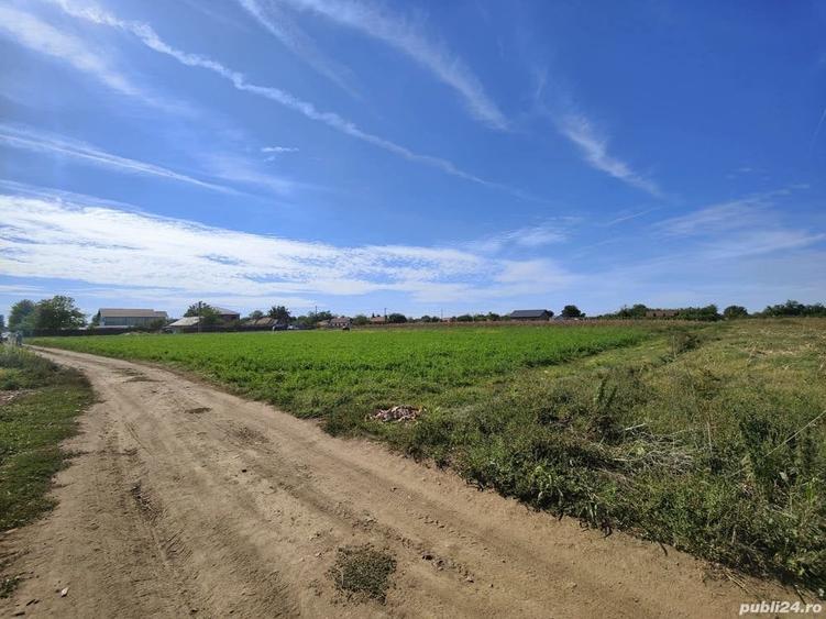 Teren de 1400 mp, în Manasia