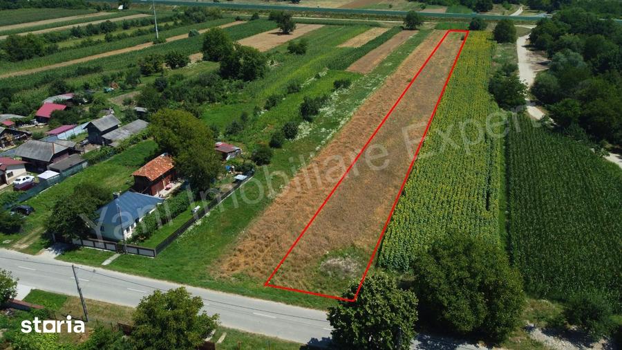 Teren de 3620 mp, în Crâmpotani