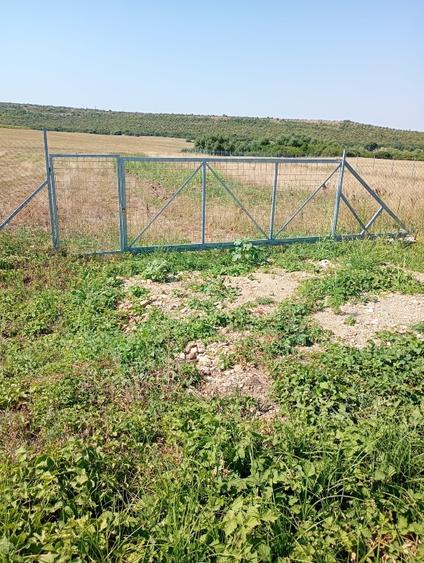 Teren agricol extravilan de 6100 mp, în Pișchia