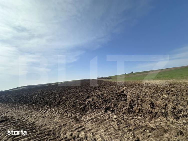 Teren de 15000 mp, în Sântuhalm