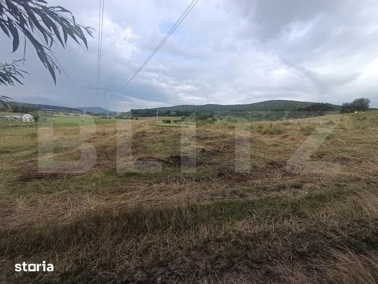 Teren 3.600 mp in Podu Olt Ideal pentru livada, cabana sau invest - 4