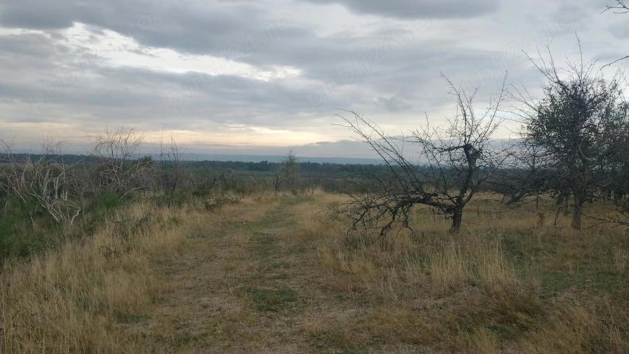 Teren de 844 mp, în Lăpuș
