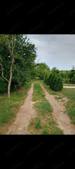 Teren de 2800 mp, în Blaj