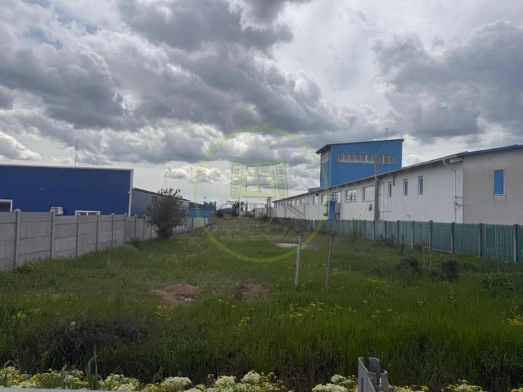 Teren Construcții intravilan de 5000 mp, în Malu Mare
