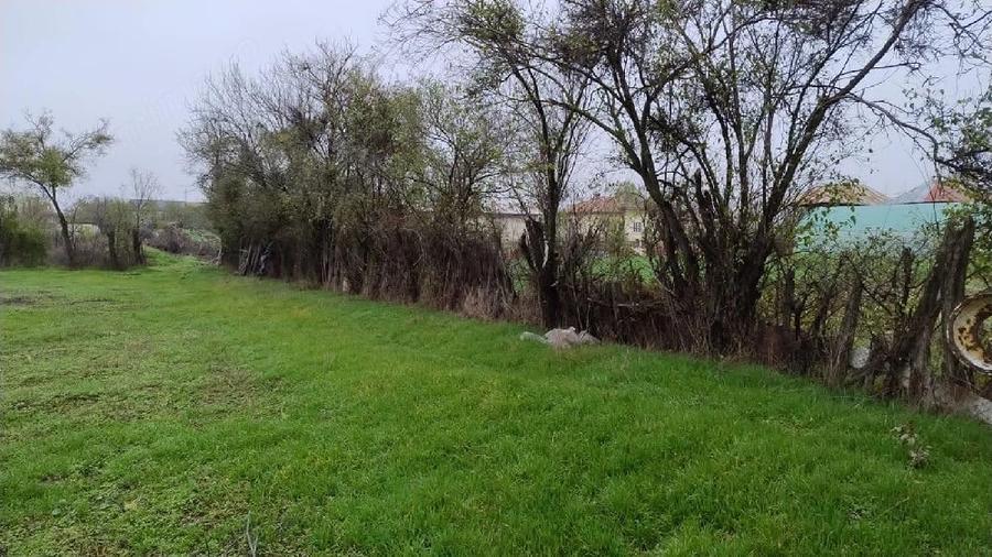 Teren de 3000 mp, în Petrești