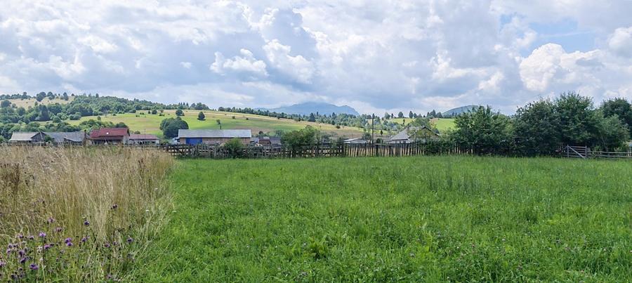 Teren agricol extravilan de 4950 mp, în Vama Buzăului