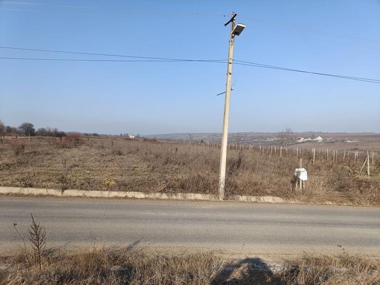 Teren de 2100 mp, în Nicorești