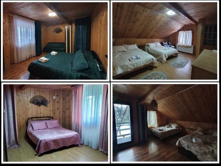 Vand casa de vacanta in Valea Doftanei , teren, vila, Paltinu, natura - 4