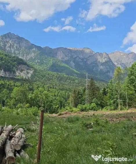 Teren în Nord